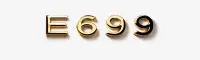 E699 Logo